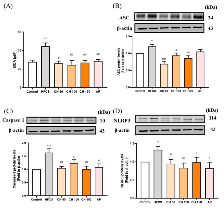 https://cdn.ncbi.nlm.nih.gov/pmc/blobs/1759/8067405/e3cf9273bc38/antioxidants-10-00564-g006.jpg