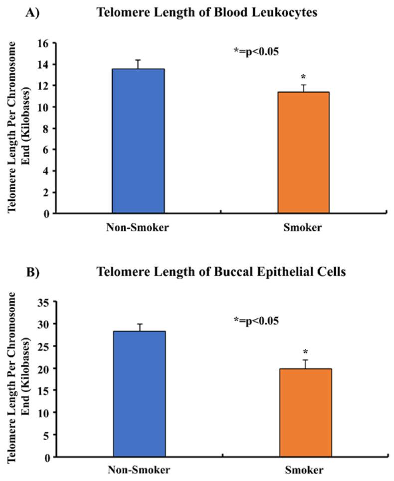 https://cdn.ncbi.nlm.nih.gov/pmc/blobs/175c/11172003/54fc3373a071/cells-13-00884-g005.jpg