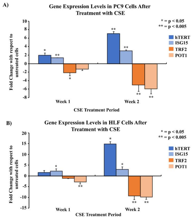 https://cdn.ncbi.nlm.nih.gov/pmc/blobs/175c/11172003/6baa912c2df7/cells-13-00884-g002.jpg
