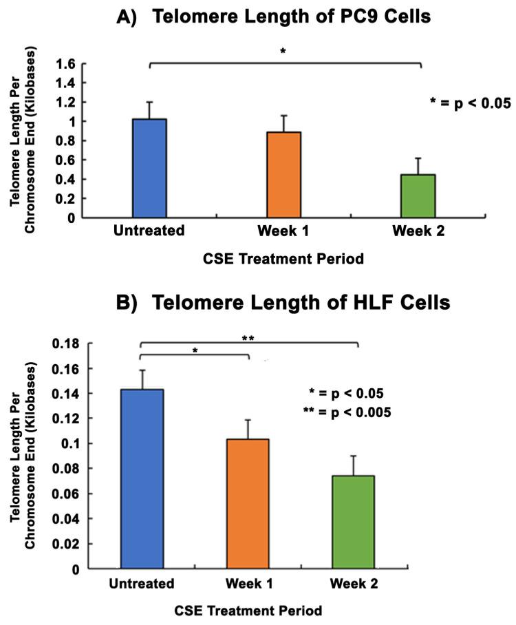 https://cdn.ncbi.nlm.nih.gov/pmc/blobs/175c/11172003/dd0247b49321/cells-13-00884-g003.jpg