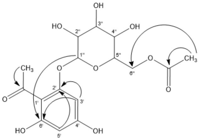 https://cdn.ncbi.nlm.nih.gov/pmc/blobs/1760/6017344/28506dc0d0ec/molecules-23-00793-g003.jpg