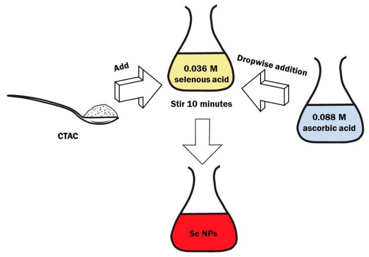 https://cdn.ncbi.nlm.nih.gov/pmc/blobs/1761/10746028/34f8ae4b8b27/nanomaterials-13-03128-g001.jpg