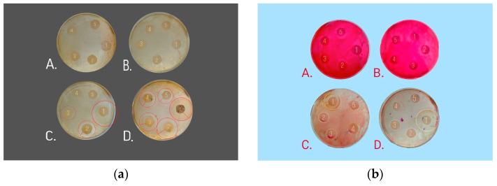 https://cdn.ncbi.nlm.nih.gov/pmc/blobs/1761/10746028/80c28d6f43bb/nanomaterials-13-03128-g010.jpg
