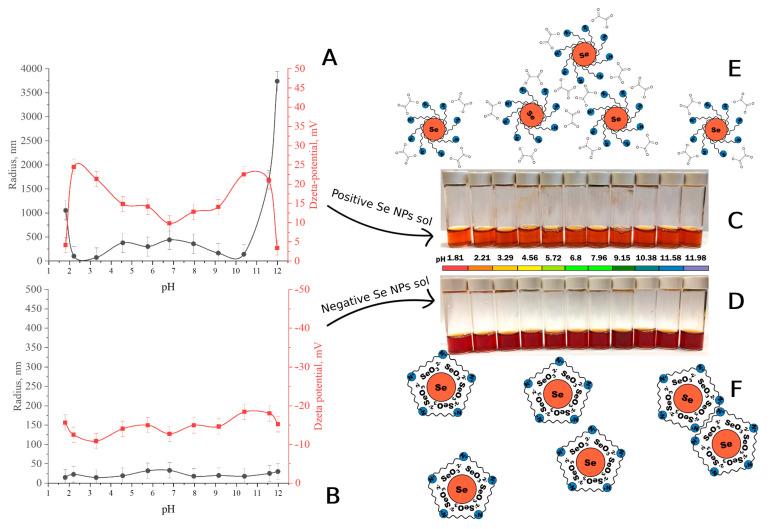 https://cdn.ncbi.nlm.nih.gov/pmc/blobs/1761/10746028/b437db3fbcaa/nanomaterials-13-03128-g007.jpg