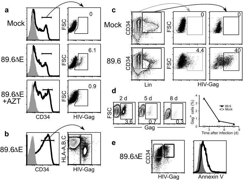 https://cdn.ncbi.nlm.nih.gov/pmc/blobs/1761/2892382/9dffbc619ff2/nihms-175238-f0002.jpg