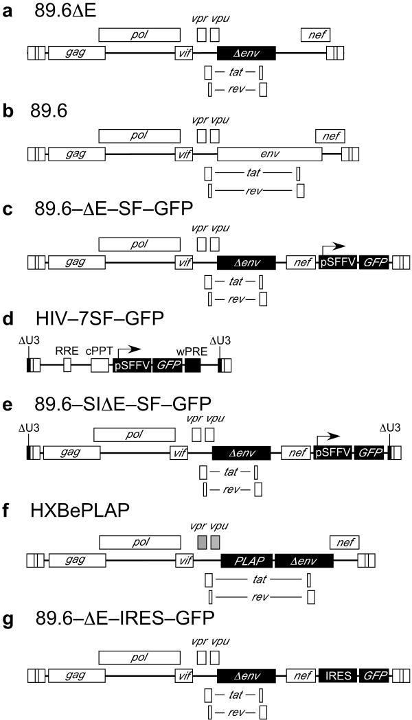 https://cdn.ncbi.nlm.nih.gov/pmc/blobs/1761/2892382/e4ab3ce8336a/nihms-175238-f0001.jpg