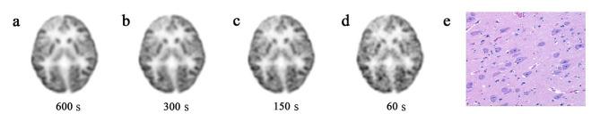 https://cdn.ncbi.nlm.nih.gov/pmc/blobs/1764/10897067/233774425b31/13550_2024_1081_Fig3_HTML.jpg
