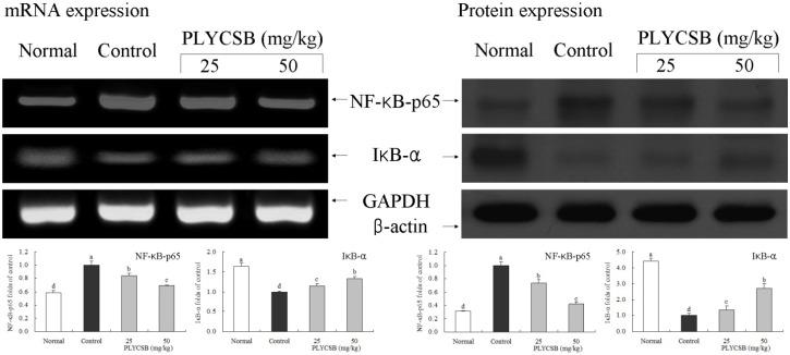 https://cdn.ncbi.nlm.nih.gov/pmc/blobs/1764/3967189/681b4d4ab09c/nutrients-06-01223-g001.jpg