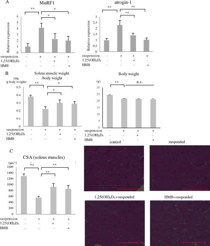 https://cdn.ncbi.nlm.nih.gov/pmc/blobs/1764/5774788/66666aae1ac9/pone.0191318.g004.jpg