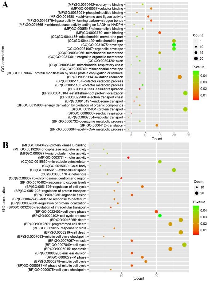 https://cdn.ncbi.nlm.nih.gov/pmc/blobs/1766/6507312/395116ca0e7f/ol-17-06-5545-g03.jpg