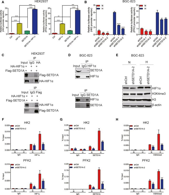 https://cdn.ncbi.nlm.nih.gov/pmc/blobs/1766/7266269/8481a867206a/MOL2-14-1397-g004.jpg