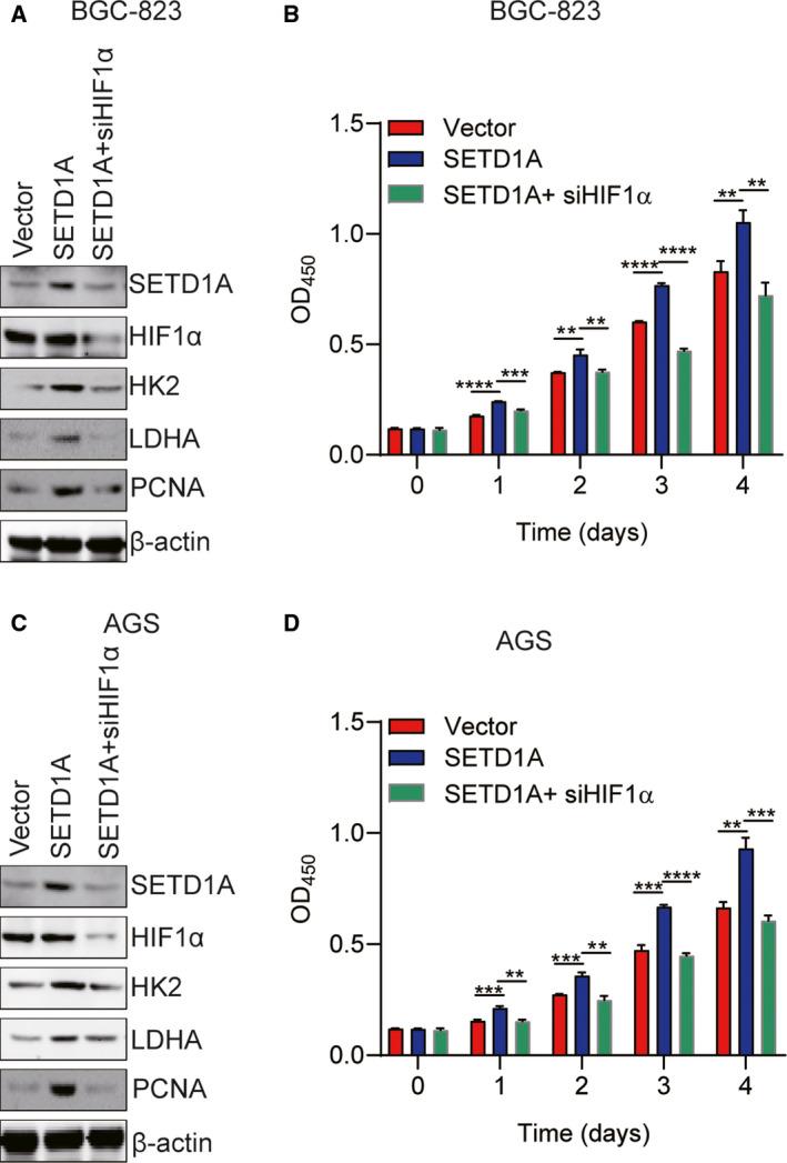 https://cdn.ncbi.nlm.nih.gov/pmc/blobs/1766/7266269/85e2e137719b/MOL2-14-1397-g005.jpg