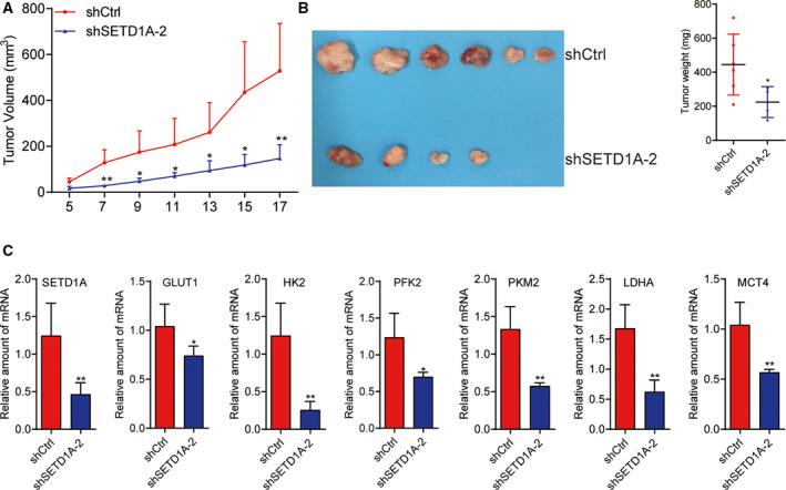 https://cdn.ncbi.nlm.nih.gov/pmc/blobs/1766/7266269/8ceffbe49938/MOL2-14-1397-g006.jpg