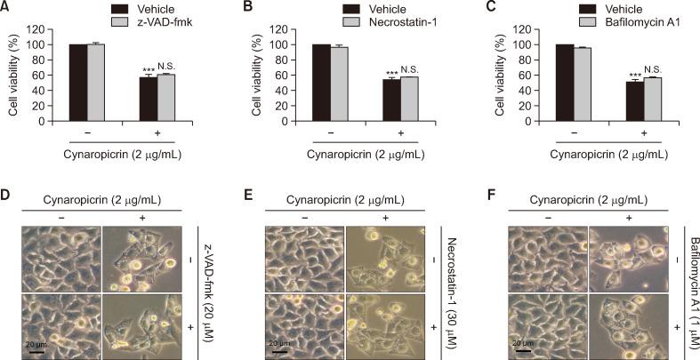 https://cdn.ncbi.nlm.nih.gov/pmc/blobs/176a/12059367/449b6aacbc04/bt-33-3-470-f2.jpg