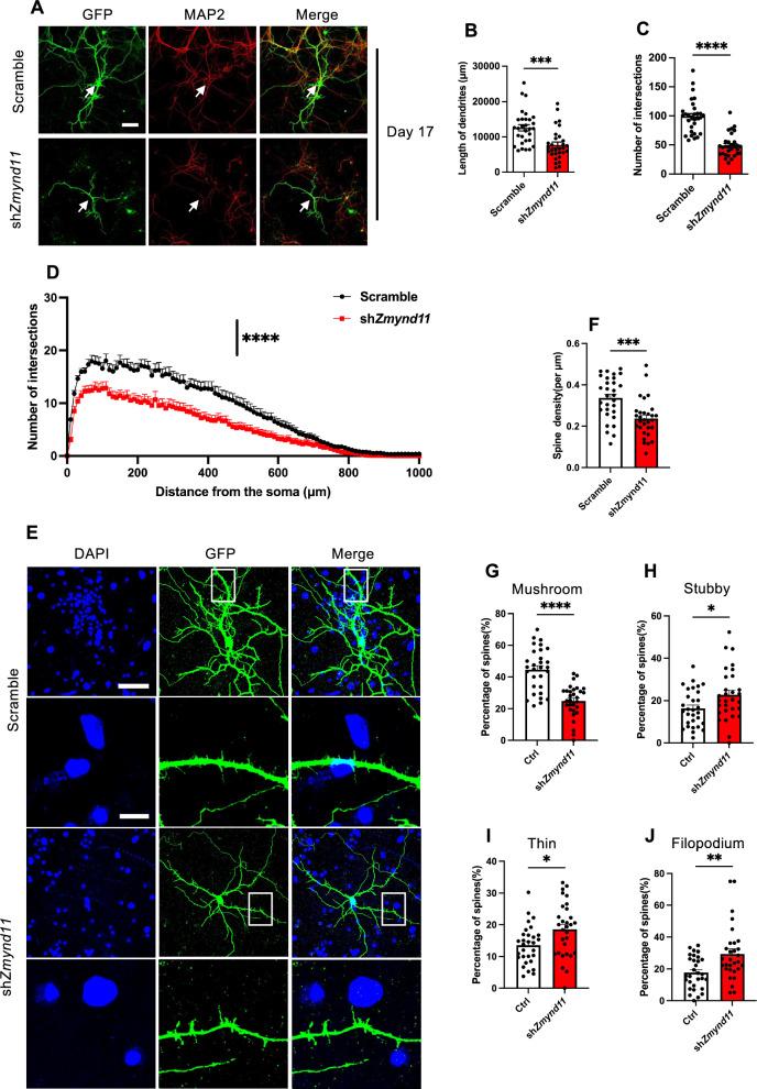 https://cdn.ncbi.nlm.nih.gov/pmc/blobs/176b/12032794/76a6ccc925bb/13578_2025_1392_Fig3_HTML.jpg