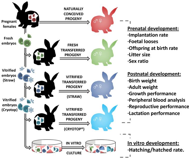 https://cdn.ncbi.nlm.nih.gov/pmc/blobs/176e/7278459/e8d2b3626f65/animals-10-00804-g001.jpg