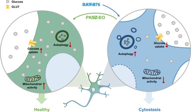 https://cdn.ncbi.nlm.nih.gov/pmc/blobs/176f/11535478/d2562378832f/41598_2024_78357_Fig6_HTML.jpg