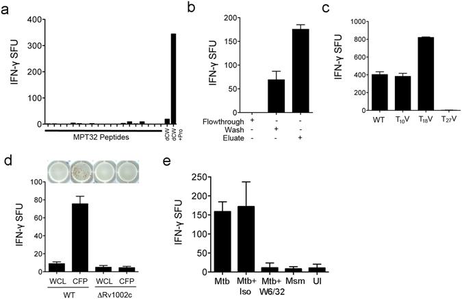 https://cdn.ncbi.nlm.nih.gov/pmc/blobs/176f/5496856/62a094165e5b/41598_2017_4894_Fig3_HTML.jpg
