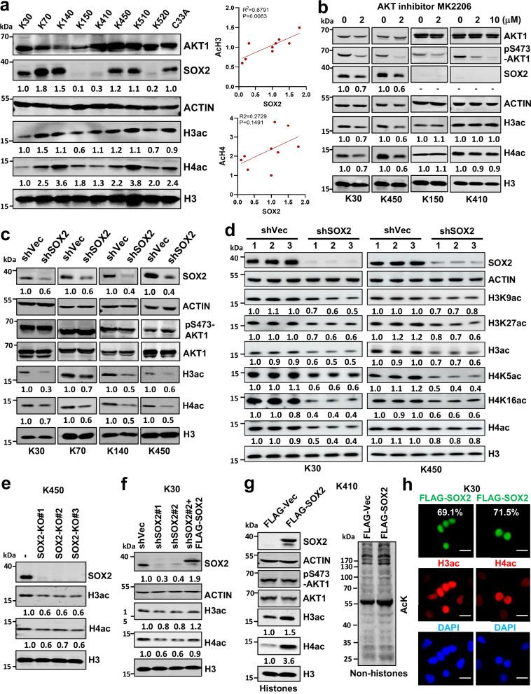 https://cdn.ncbi.nlm.nih.gov/pmc/blobs/1771/12405564/0917abf9664f/41467_2025_63591_Fig1_HTML.jpg
