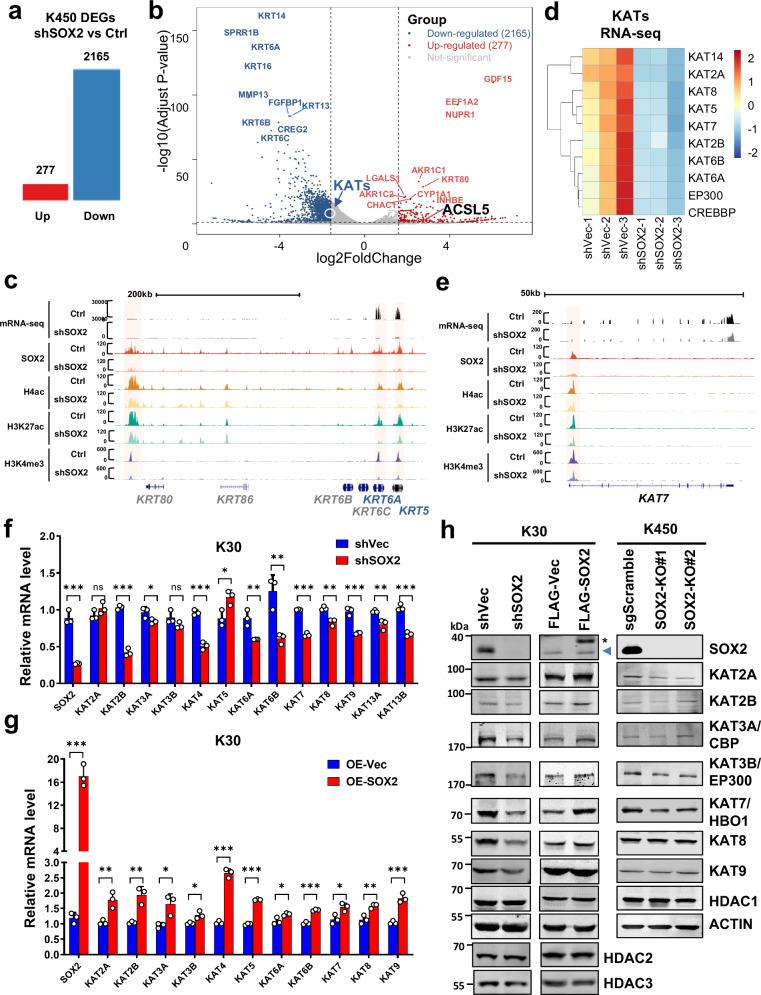 https://cdn.ncbi.nlm.nih.gov/pmc/blobs/1771/12405564/100bfdda432d/41467_2025_63591_Fig4_HTML.jpg