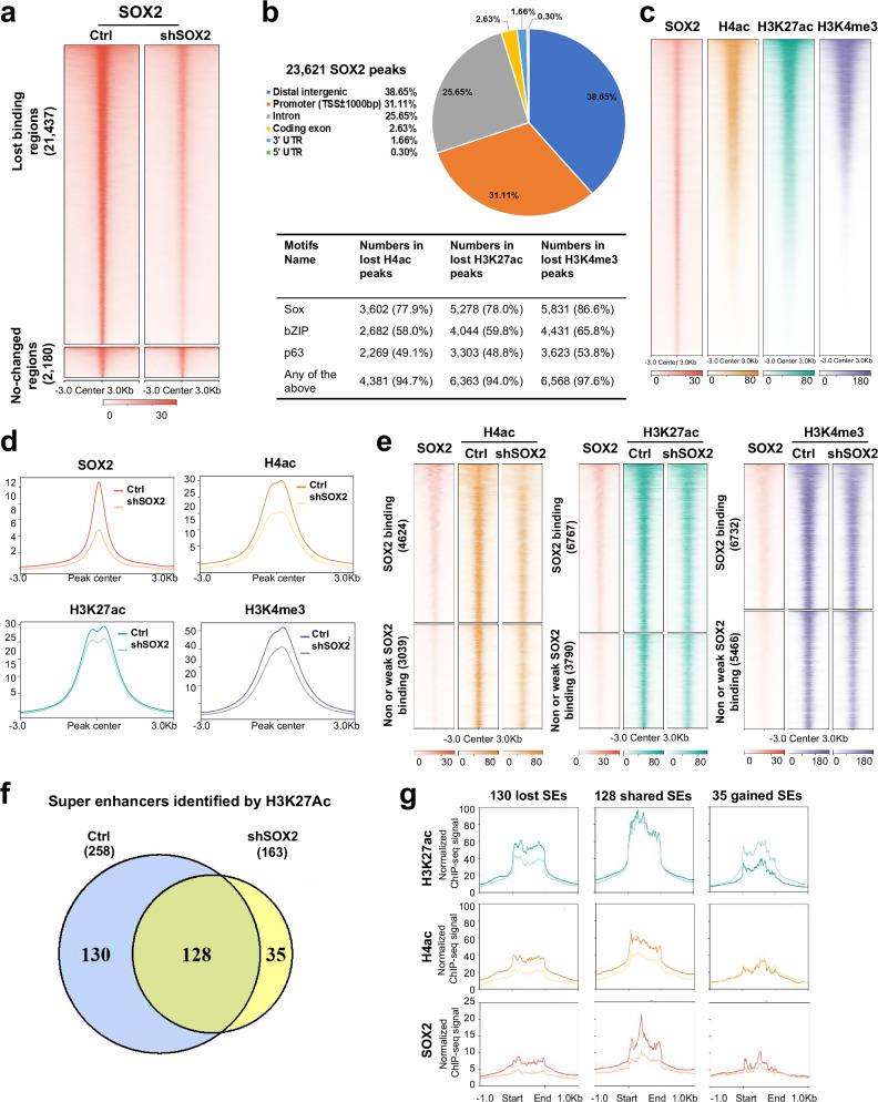 https://cdn.ncbi.nlm.nih.gov/pmc/blobs/1771/12405564/9d6f83c19d66/41467_2025_63591_Fig2_HTML.jpg