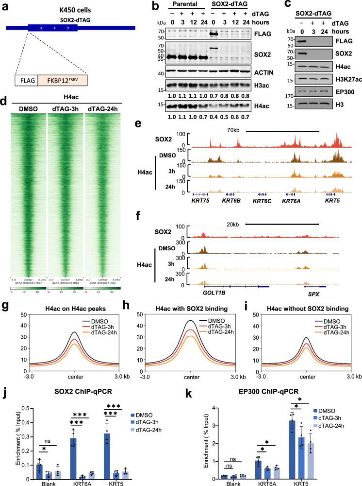 https://cdn.ncbi.nlm.nih.gov/pmc/blobs/1771/12405564/d4e0b1e2c465/41467_2025_63591_Fig3_HTML.jpg