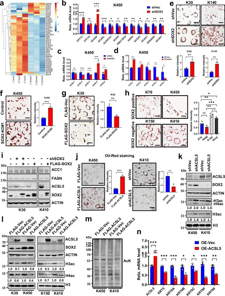 https://cdn.ncbi.nlm.nih.gov/pmc/blobs/1771/12405564/e183a81ef968/41467_2025_63591_Fig5_HTML.jpg
