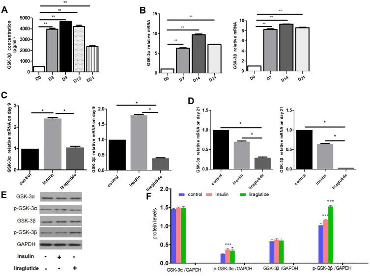https://cdn.ncbi.nlm.nih.gov/pmc/blobs/1772/7478378/2099749a4ae6/DMSO-13-3075-g0003.jpg