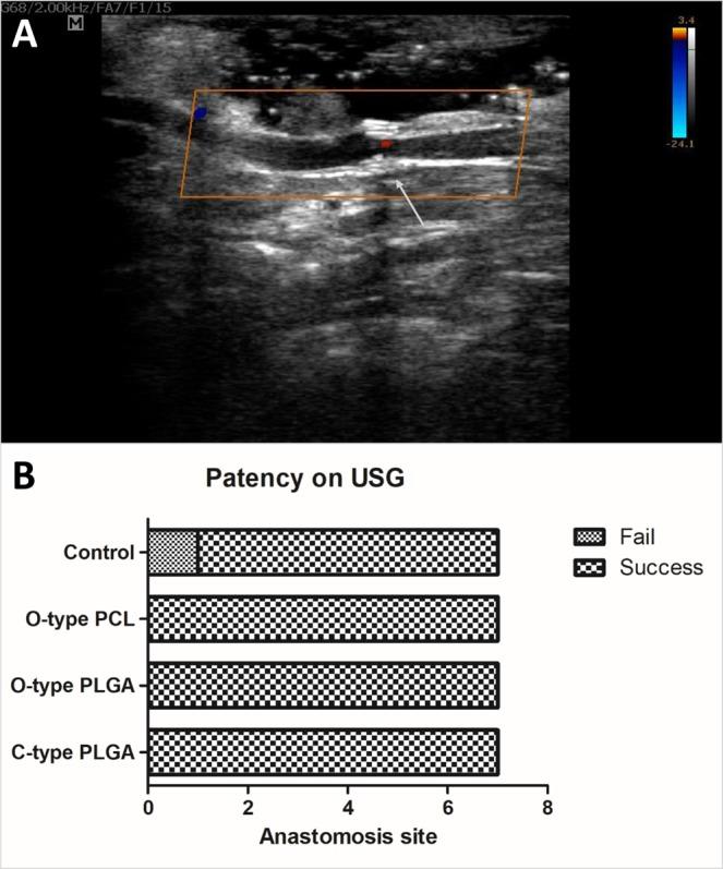 https://cdn.ncbi.nlm.nih.gov/pmc/blobs/1774/6662823/d9c3f2dc4374/41598_2019_47499_Fig6_HTML.jpg