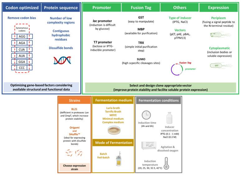 https://cdn.ncbi.nlm.nih.gov/pmc/blobs/1774/8065594/b5b196597b64/vaccines-09-00328-g003.jpg