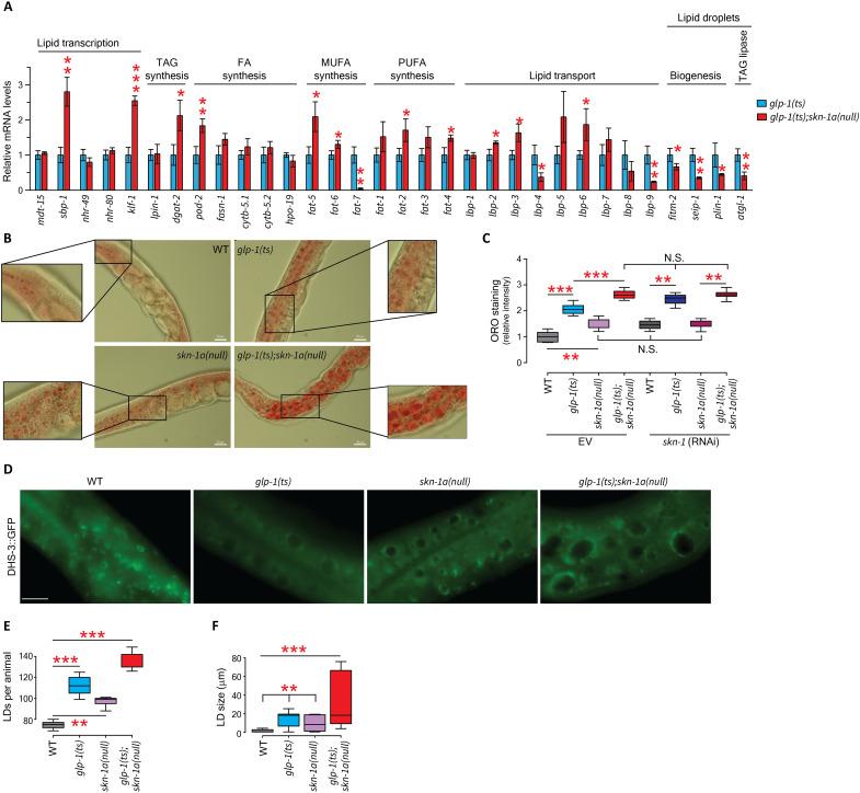 https://cdn.ncbi.nlm.nih.gov/pmc/blobs/1774/9812393/9ecd5c60ae31/sciadv.adc8917-f3.jpg