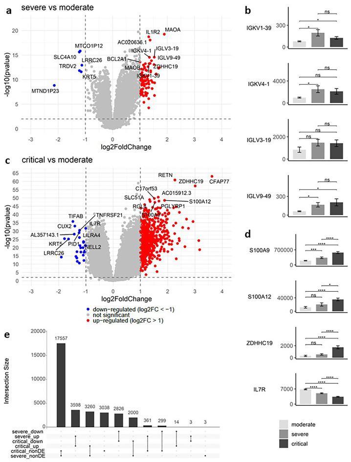 https://cdn.ncbi.nlm.nih.gov/pmc/blobs/1775/12008264/8756034d685c/41598_2025_95905_Fig1_HTML.jpg