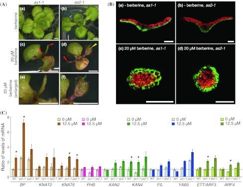 https://cdn.ncbi.nlm.nih.gov/pmc/blobs/1775/3402677/f325ebf71246/11103_2012_9929_Fig2_HTML.jpg