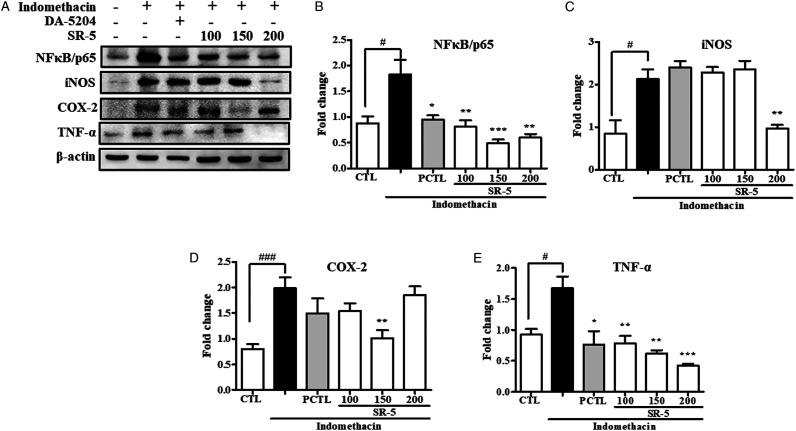 https://cdn.ncbi.nlm.nih.gov/pmc/blobs/1778/8532236/5670d65d3ffe/10.1177_15593258211044329-fig9.jpg