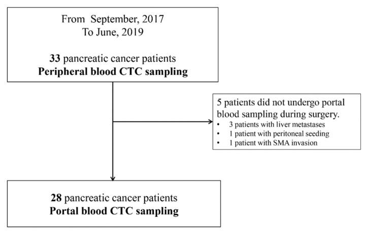https://cdn.ncbi.nlm.nih.gov/pmc/blobs/1778/9219704/5a26237b4a5b/biomedicines-10-01289-g001.jpg