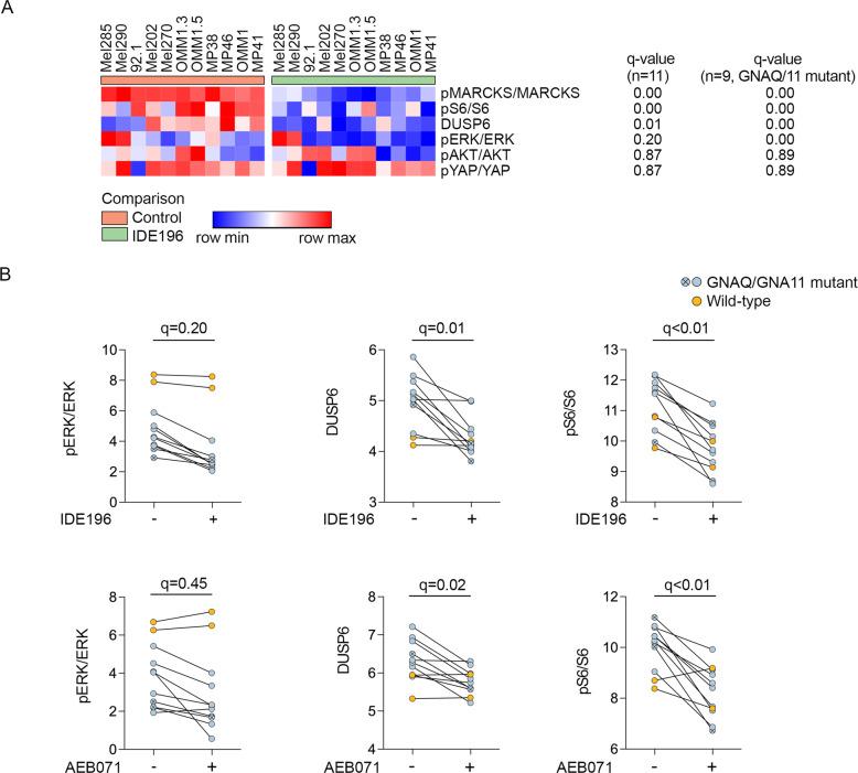 https://cdn.ncbi.nlm.nih.gov/pmc/blobs/1778/9576594/ad5307a22ac2/41417_2022_457_Fig2_HTML.jpg