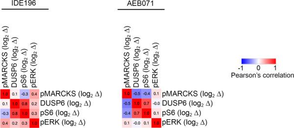 https://cdn.ncbi.nlm.nih.gov/pmc/blobs/1778/9576594/bb1fe5c2464f/41417_2022_457_Fig3_HTML.jpg