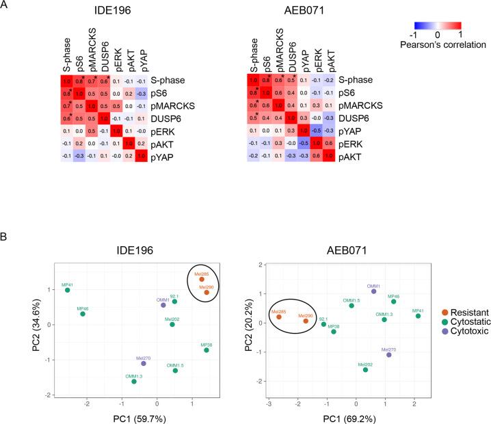 https://cdn.ncbi.nlm.nih.gov/pmc/blobs/1778/9576594/fc636c23b470/41417_2022_457_Fig5_HTML.jpg