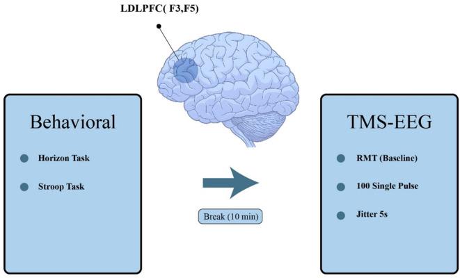 https://cdn.ncbi.nlm.nih.gov/pmc/blobs/177a/12053588/0b98b1caa32d/41598_2025_34_Fig5_HTML.jpg