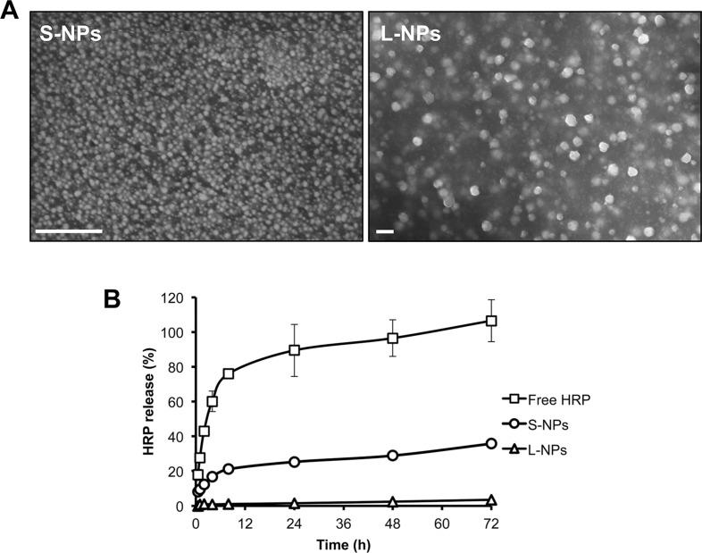 https://cdn.ncbi.nlm.nih.gov/pmc/blobs/177b/5122344/6ab7eceddbdc/oncotarget-07-37728-g001.jpg