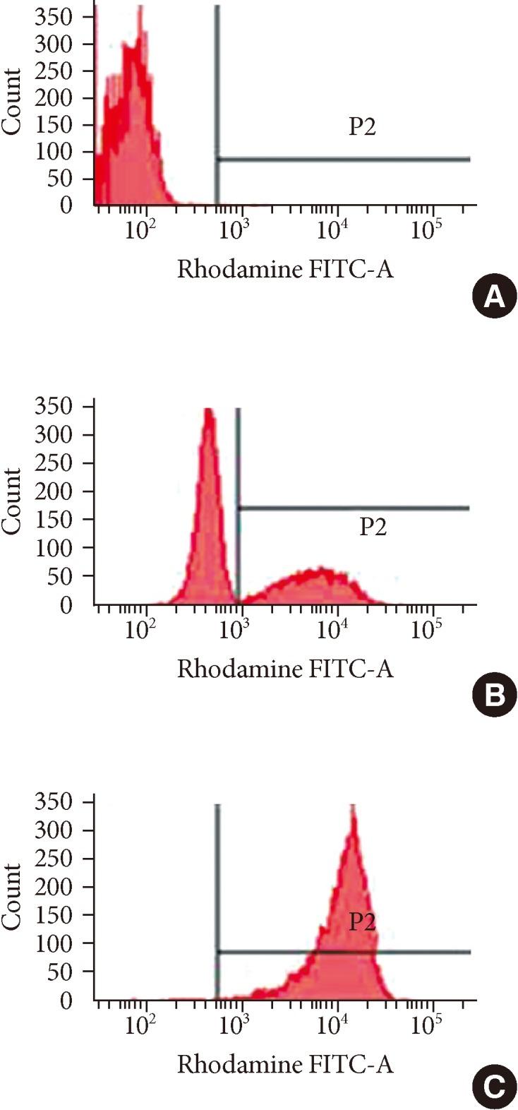 https://cdn.ncbi.nlm.nih.gov/pmc/blobs/177c/4077965/f9f51494db2d/aair-6-366-g002.jpg