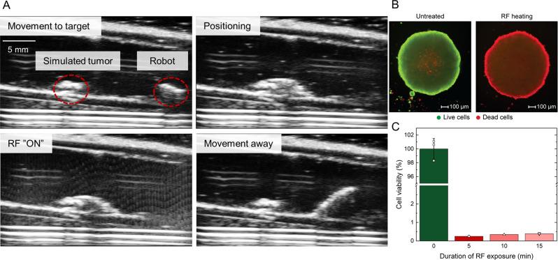 https://cdn.ncbi.nlm.nih.gov/pmc/blobs/1781/10282021/078aa8ce7c14/41467_2023_38689_Fig7_HTML.jpg