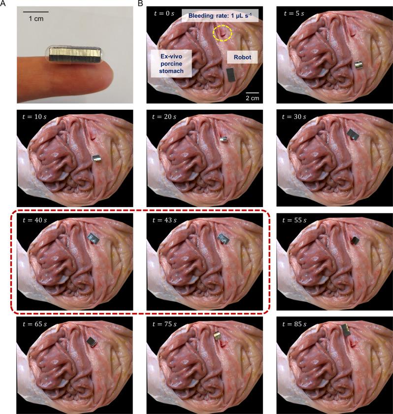 https://cdn.ncbi.nlm.nih.gov/pmc/blobs/1781/10282021/4a8b8df22930/41467_2023_38689_Fig6_HTML.jpg