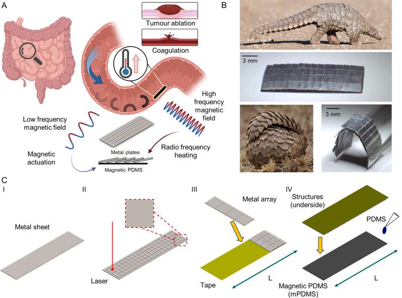 https://cdn.ncbi.nlm.nih.gov/pmc/blobs/1781/10282021/4dee0018e4e3/41467_2023_38689_Fig1_HTML.jpg