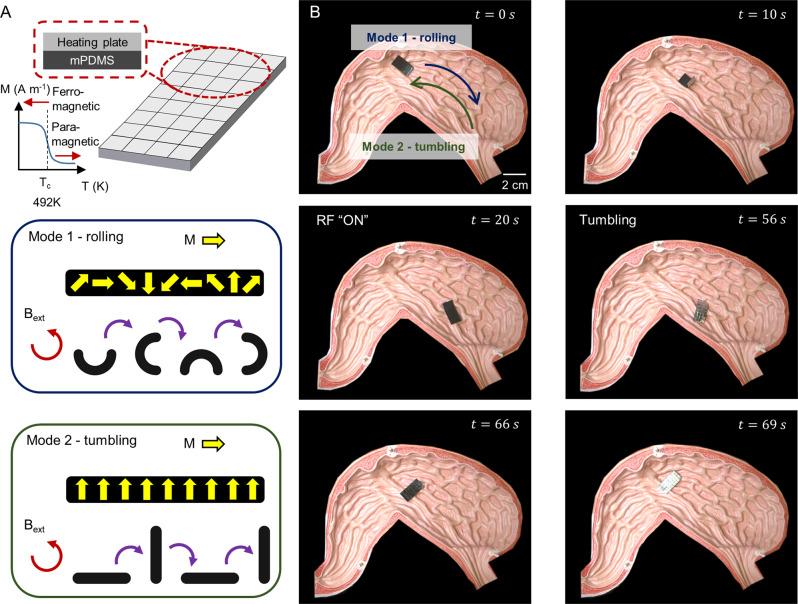 https://cdn.ncbi.nlm.nih.gov/pmc/blobs/1781/10282021/c166024018e9/41467_2023_38689_Fig4_HTML.jpg