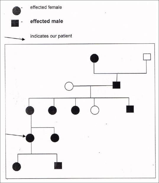 https://cdn.ncbi.nlm.nih.gov/pmc/blobs/1781/4763581/2fc870ba16d2/IDOJ-7-46-g001.jpg