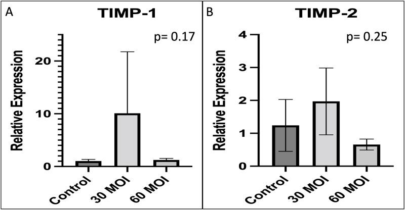 https://cdn.ncbi.nlm.nih.gov/pmc/blobs/1781/9581367/3505a63dadec/pone.0276232.g008.jpg
