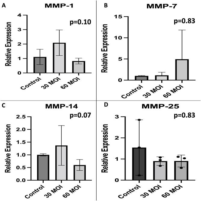 https://cdn.ncbi.nlm.nih.gov/pmc/blobs/1781/9581367/a08489a95a80/pone.0276232.g005.jpg