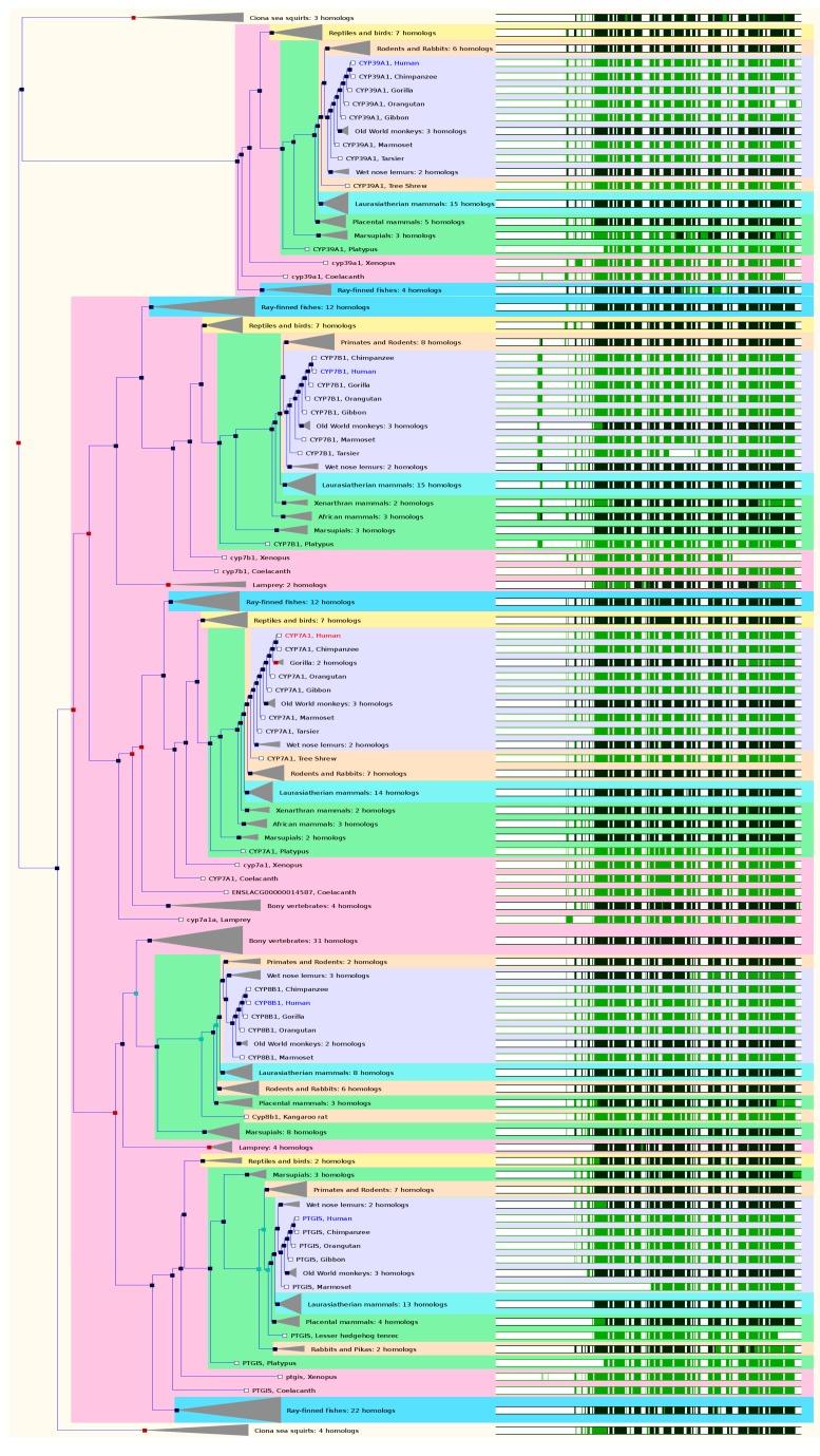 https://cdn.ncbi.nlm.nih.gov/pmc/blobs/1782/4964396/89f812816925/ijms-17-01020-g005a.jpg