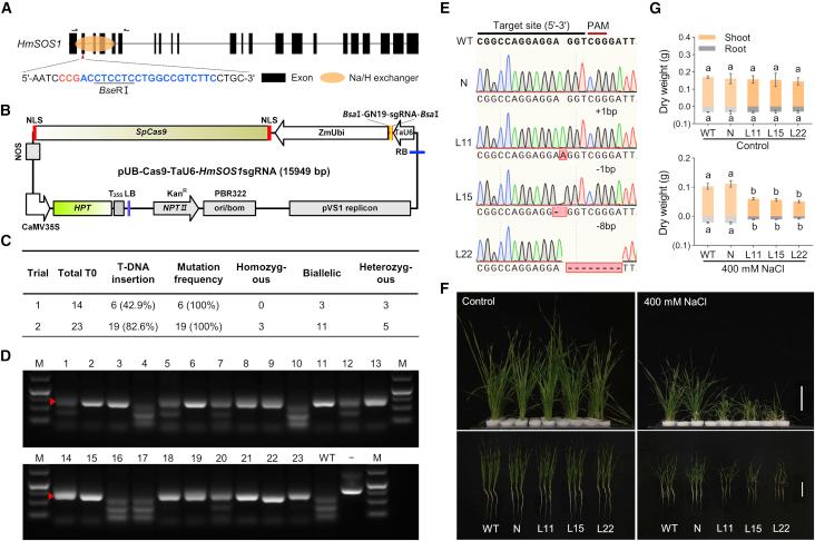 https://cdn.ncbi.nlm.nih.gov/pmc/blobs/1782/9482977/d7a5740dbe94/gr6.jpg